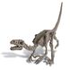 Set for excavations 4M Skeleton of a velociraptor (00-13234)