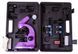 Мікроскоп Levenhuk Rainbow 50L Amethyst\Аметист