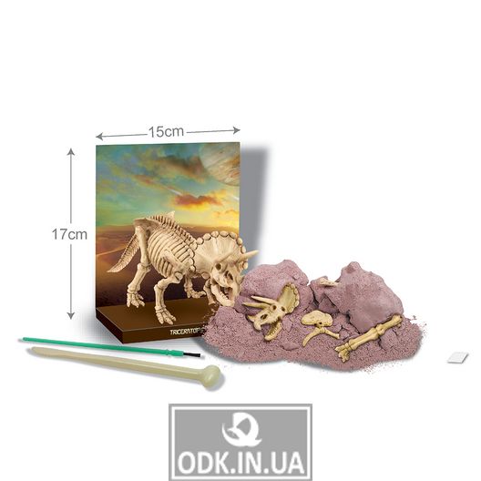 Set for excavations 4M Skeleton of a triceratops (00-03228)