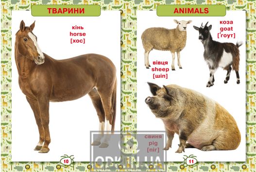 The first encyclopedia of animals for kids. From 8 months to 5 years