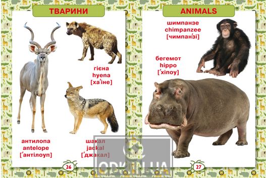 The first encyclopedia of animals for kids. From 8 months to 5 years