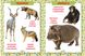 Перша енциклопедія тварин для малюків. Від 8 місяців до 5 років