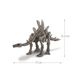 Stegosaurus Skeleton 4M Excavation Kit (00-03229)