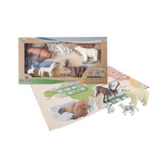 Educational Game Set - Arctic Animals