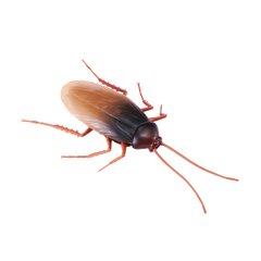 Interactive toy Robo Alive - Cockroach