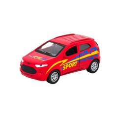 The car model is Ford Ecosport