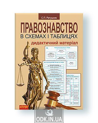 Jurisprudence in diagrams and tables. Didactic material