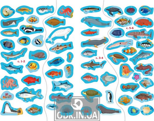Atlas of the oceans with reusable stickers