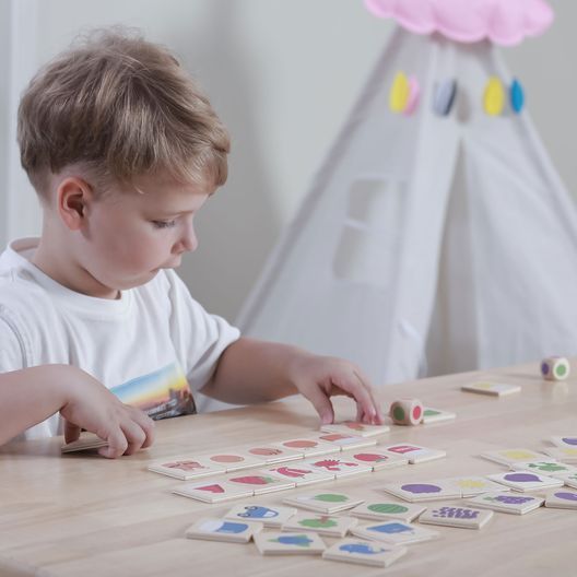 Дерев'яний пазл-гра Viga Toys Вивчаємо кольори (44505)