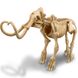 Mammoth Skeleton 4M Excavation Kit (00-03236)