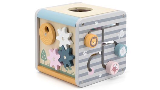 Дерев'яний бізікуб Viga Toys PolarB 5 в 1 (44030)