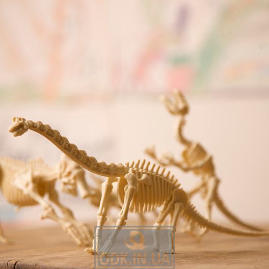 4M Brachiosaurus Skeleton Excavation Kit (00-03237)