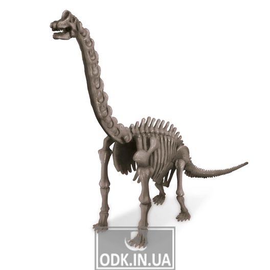 Набор для раскопок 4M Скелет брахиозавра (00-03237)