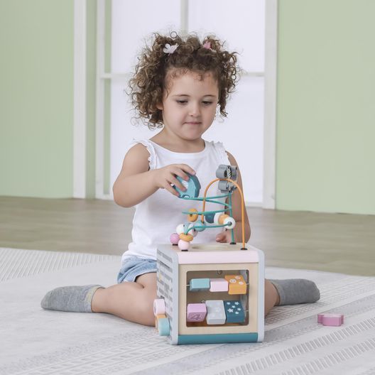 Дерев'яний бізікуб Viga Toys PolarB 5 в 1 (44030)