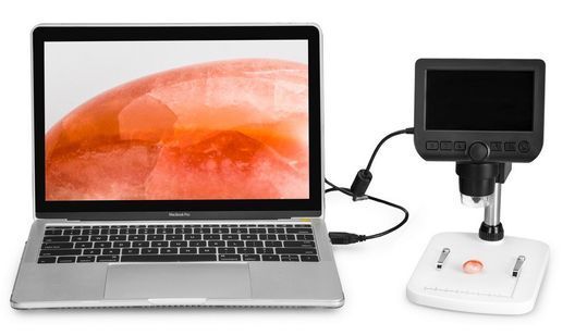 Мікроскоп цифровий Levenhuk DTX 350 LCD