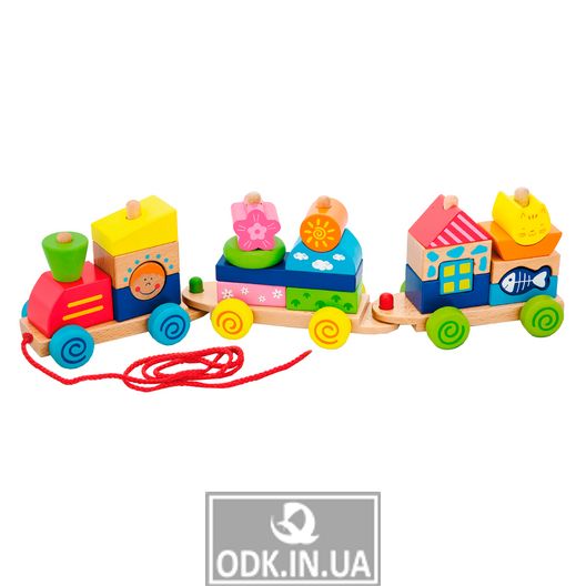 Wooden wheelchair-train Viga Toys Colorful cubes (50089)