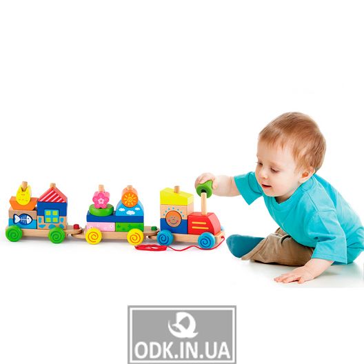 Деревянная каталка-поезд Viga Toys Красочные кубики (50089)