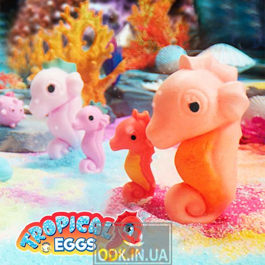 Growing toy in the egg "Tropical Eggs" - Inhabitants of tropical seas
