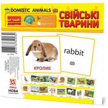 Міні-картки "Домашні тварини" 110x110 мм