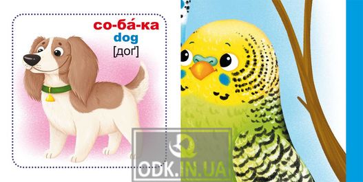 Smart cards. Domestic animals. 30 cards