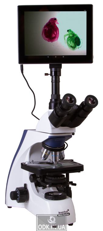 Микроскоп цифровой Levenhuk MED D30T LCD, тринокулярный