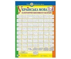 Зразки каліграфічного письма букв (великих та малих)
