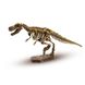 Набір Серії Дослідник - Розкопки Скелета Тиранозавра
