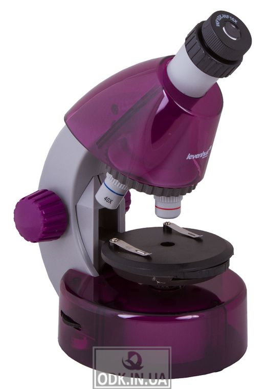 Microscope Levenhuk LabZZ M101 Amethyst \ Amethyst