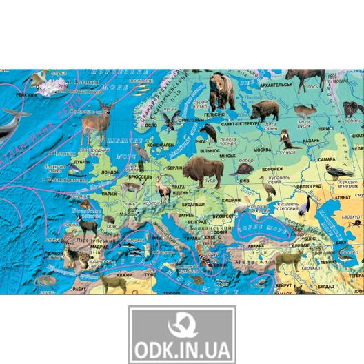 Світ. Карта тварин. 100x70 см. М 1:35 500 000. Папір, ламінація (4820114950802)
