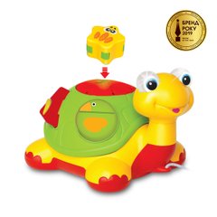 Wheelchair Sorter - Turtle-Knowledge (Voiced in Russian)