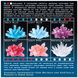 Набір для вирощування кристалів 4M (00-03913/EU)